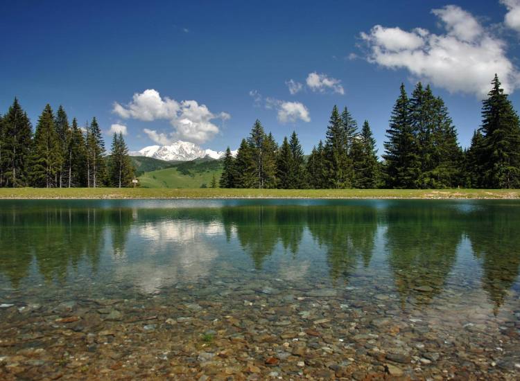 lac